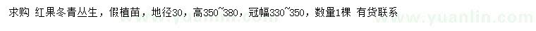 求购地径30公分丛生红果冬青