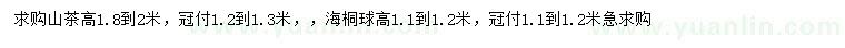 求购高1.8-2米山茶、高1.1-1.2米海桐球