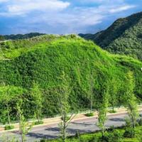 生态混凝土-植被混凝土-BSC生物基质混凝土-绿化混凝土-植