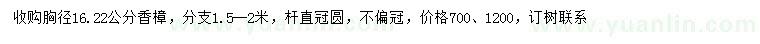 求购胸径16、22公分香樟