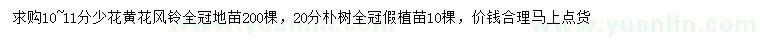 求购10-11公分少花黄花风铃木、20公分朴树