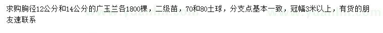 求购胸径12、14公分广玉兰