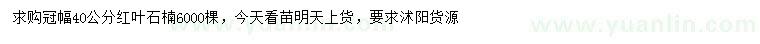 求购冠幅40公分红叶石楠