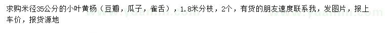 求购米径35公分小叶黄杨