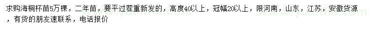 求购高40公分以上海桐