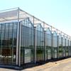 玻璃智能温室大棚