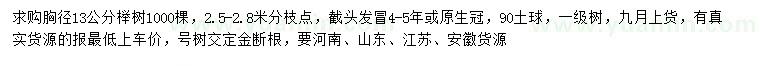 求购胸径13公分榉树