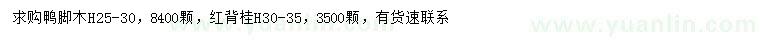 求购高25-30公分鸭脚木、高30-35公分红背桂