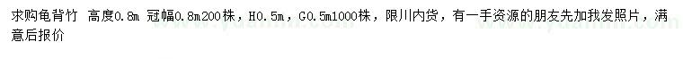 求购高0.5、0.8米龟背竹