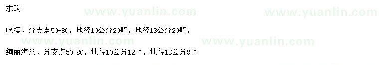 求购地径10、13公分晚樱、绚丽海棠