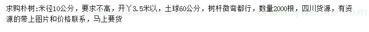 求购米径10公分朴树