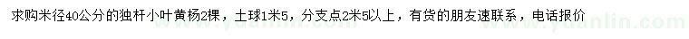 求购米径40公分小叶黄杨