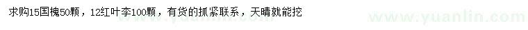 求购15公分国槐、12公分红叶李