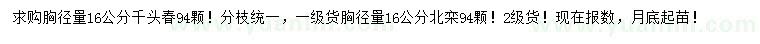 求购胸径16公分千头椿、北栾