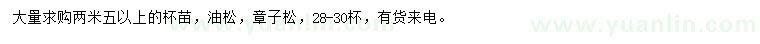 求购2.5米以上油松、樟子松