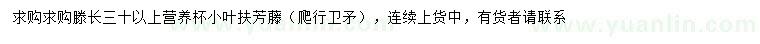 求购长30公分以小叶扶芳藤