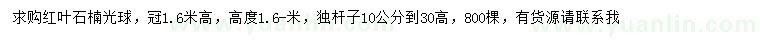 求购冠幅1.6米红叶石楠球