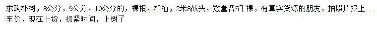 求购8、9、10公分朴树