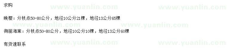 求购地径10、13公分晚樱、徇丽海棠