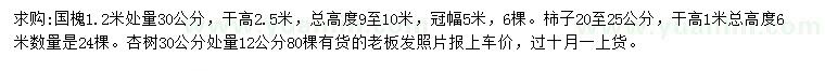 求购国槐、柿子树、杏树