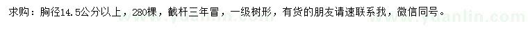 求购胸径14.5公分以上金叶复叶槭