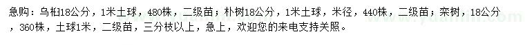 求购乌桕、朴树、栾树