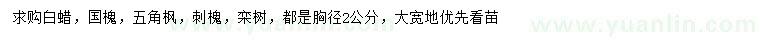 求购白蜡、国槐、五角枫等