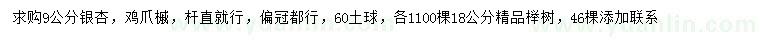 求购银杏、鸡爪槭、榉树