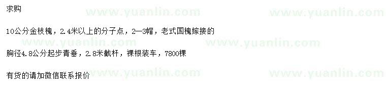 求购10公分金枝槐、胸径4.8公分以上青垂
