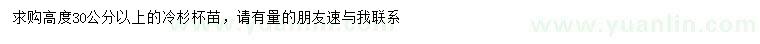 求购高30公分以上冷杉