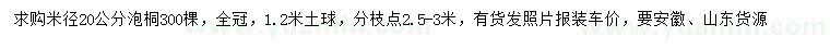 求购米径20公分泡桐