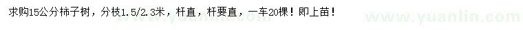 求购15公分柿子树