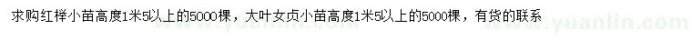 求购高1.5米以上红榉小苗、大叶女贞小苗