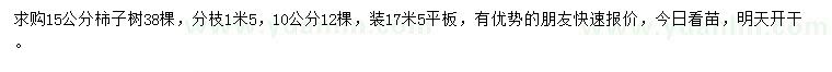 求购10、15公分柿子树