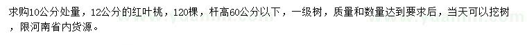 求购10公分量12公分红叶桃