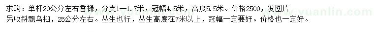 求购20公分左右香橼、25公分左右乌桕