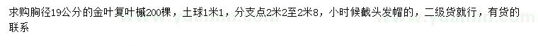 求购胸径19公分金叶复叶槭