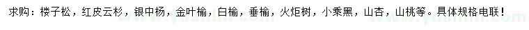 求购楼子松、红皮云杉、银中杨等