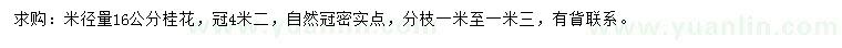 求购米径16公分桂花