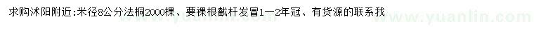 求购米径8公分法桐