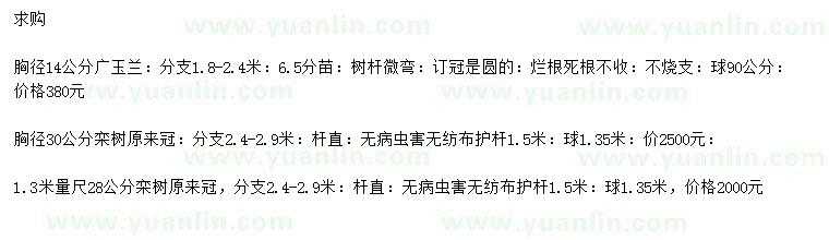 求购胸径14公分广玉兰、1.3米量28、30公分栾树