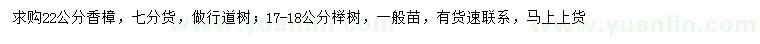 求购22公分香樟、17-18公分榉树