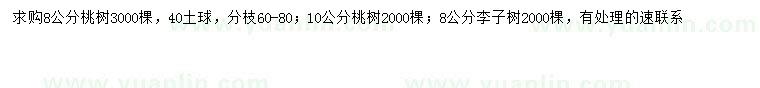 求购8、10公分桃树、8公分李子树