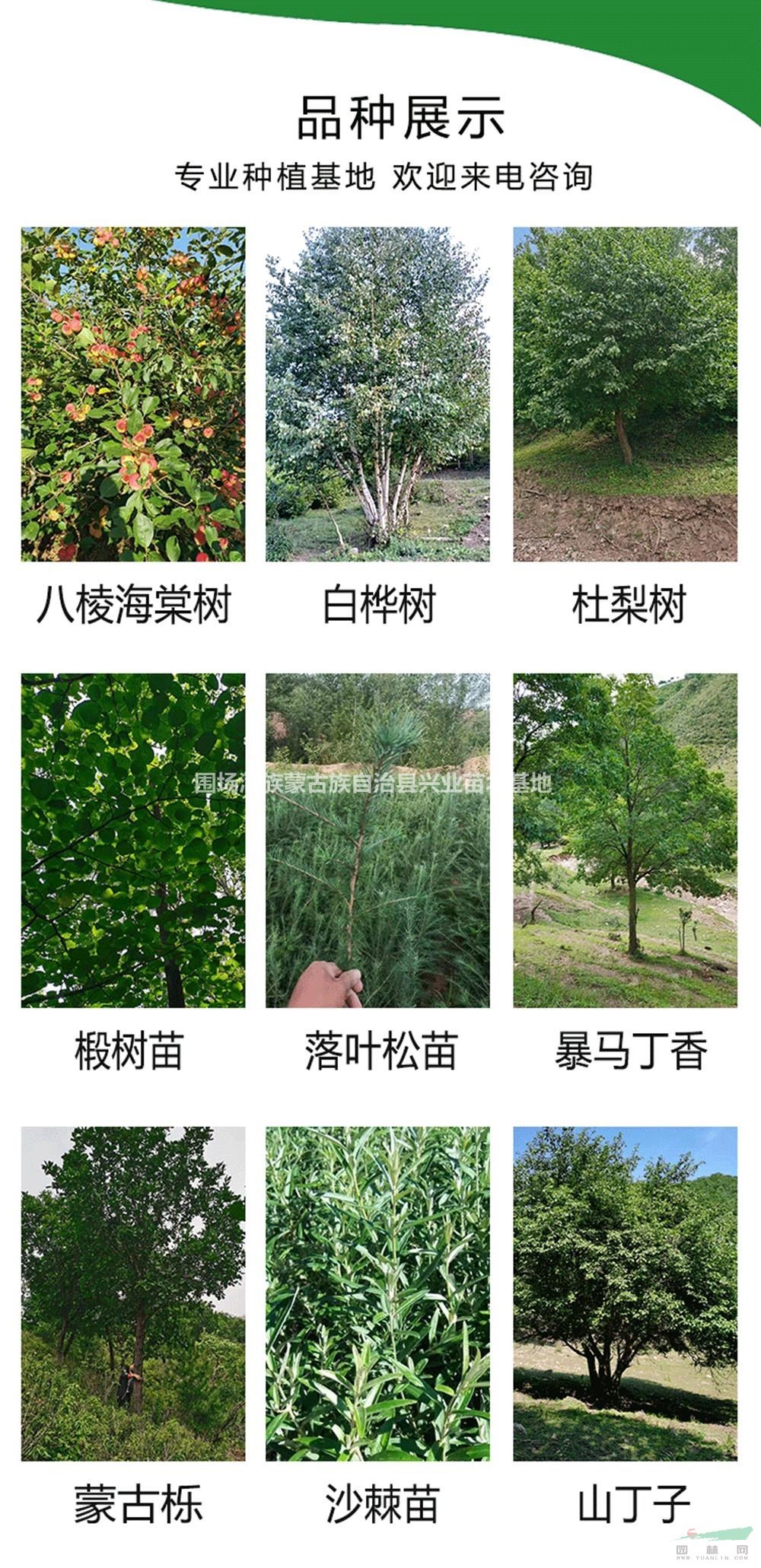 2024-2029年中国城市园林绿化行业深度调研规划分析报告