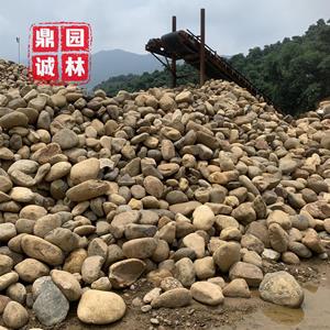 大块鹅卵石小规格地铺绿化地热砾石水冲石卵石毛石