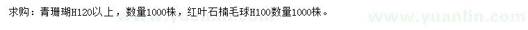 求购高120公分以上青珊瑚、高100公分红叶石楠球