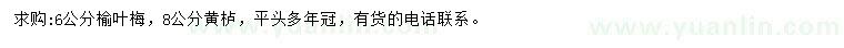 求购6公分榆叶梅、8公分黄栌
