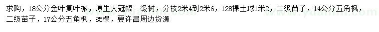 求购18公分金叶复叶槭、14、17公分五角枫