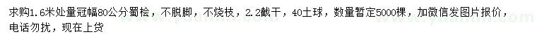 求购1.6米量冠幅80公分蜀桧