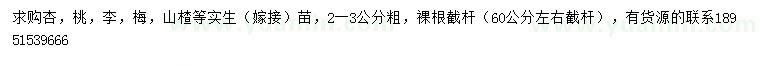 求购杏树、桃树、李树等